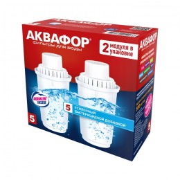 Сменный модуль В5 (В100-5) защита от бактерий (комплект из 2-х штук) в Орле